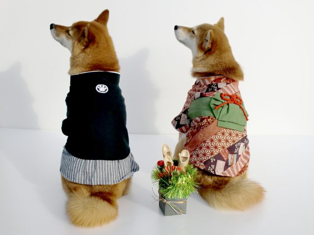 【ペット】多頭飼いもできちゃう！？魅力ある物件のご紹介♪